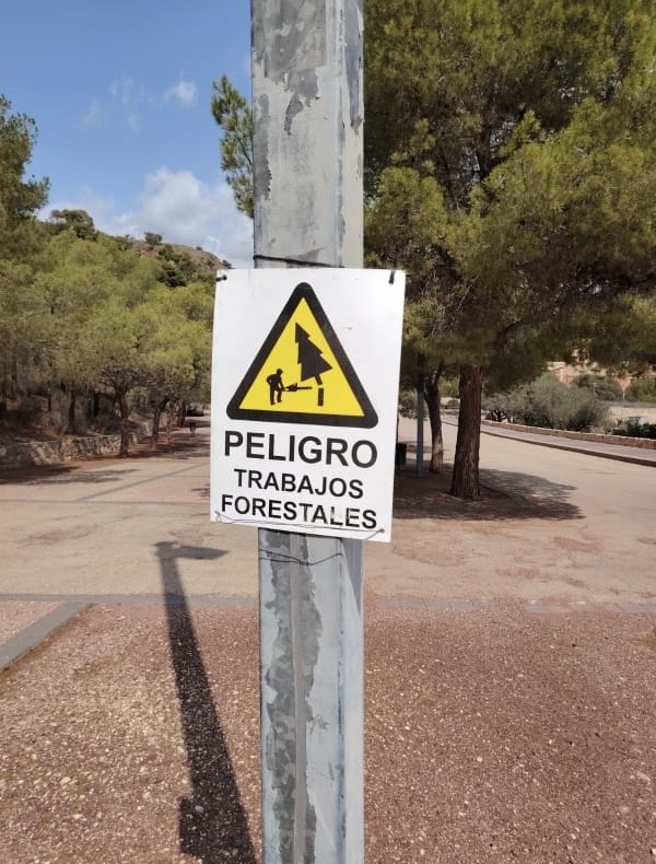 Operarios de la Consejera de Medio Ambiente realizan trabajos de tala y retirada de la masa arbrea seca en el paraje de La Santa, a consecuencia de la sequa y las plagas fitosanitarias