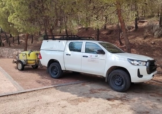 Operarios de la Consejera de Medio Ambiente realizan trabajos de tala y retirada de la masa arbrea seca en el paraje de La Santa, a consecuencia de la sequa y las plagas fitosanitarias