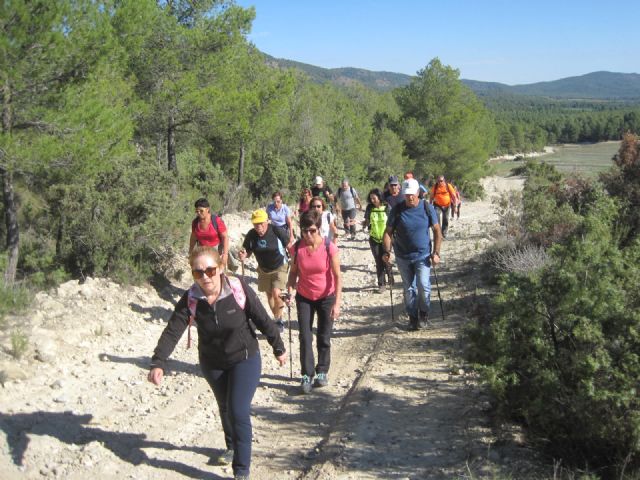 Casi una treintena de personas participan en la segunda jornada del programa de Senderismo, que se celebró este pasado domingo realizando un recorrido por Coy y La Atalaya 