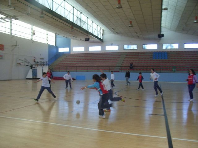 FINALIZA LA FASE LOCAL DE BALONMANO DE DEPORTE ESCOLAR ORGANIZADA POR LA CONCEJALÍA DE DEPORTES, CON EL COLEGIO REINA SOFIA COMO PRIMER CLASIFICADO