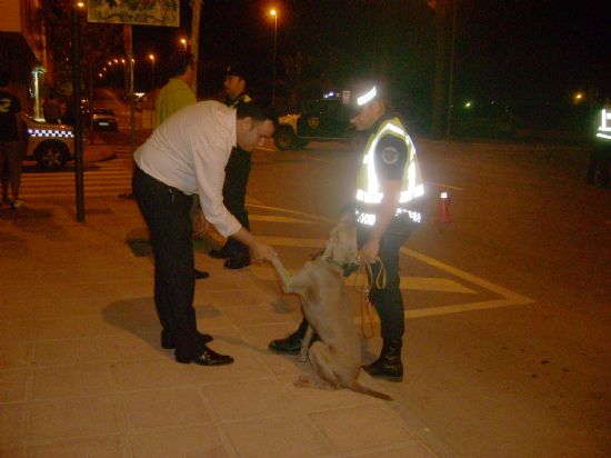 foto noticia