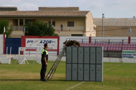 foto noticia