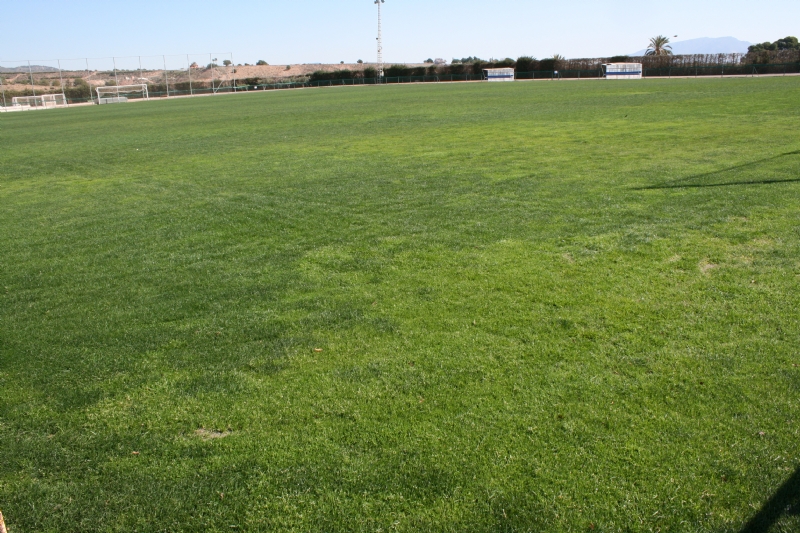 El Lorca Fútbol Club, de Segunda División A, acomete y financia los trabajos de resiembra del campo de césped natural del Polideportivo Municipal "6 de Diciembre"