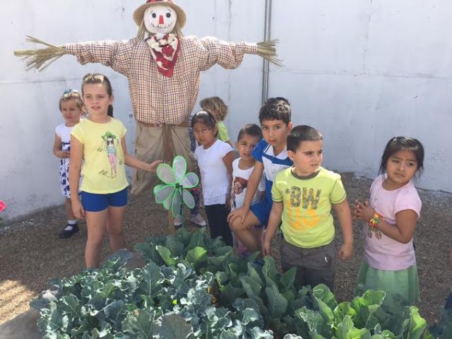 La comunidad educativa del CEIP La Cruz pone en marcha el proyecto pedaggico Huerto Escolar Ecolgico recolectando su primera cosecha