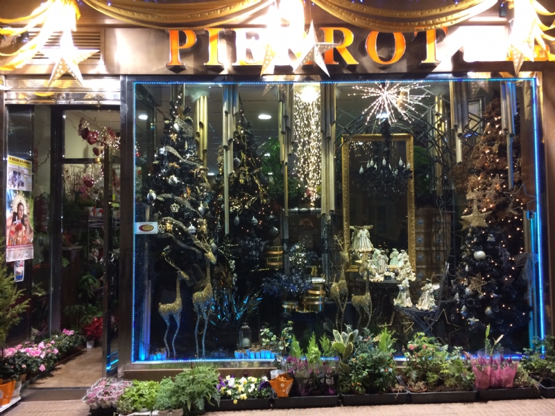 Vdeo. La Floristera Pierrot gana el III Concurso de Escaparatismo de Navidad, organizado por la Concejala de Cultura para promover la creatividad comercial e incentivar el ambiente navideo