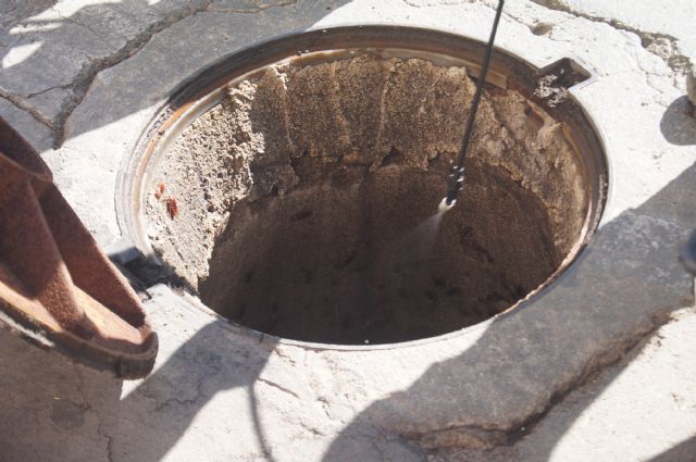 EL AYUNTAMIENTO MEJORA EL SERVICIO DE CONTROL DE PLAGAS PARA ASEGURAR LA SALUBRIDAD Y ERRADICAR LAS CUCARACHAS Y ROEDORES EN EL CASCO URBANO Y  LOS MOSQUITOS DEL RO DEL GUADALENTN