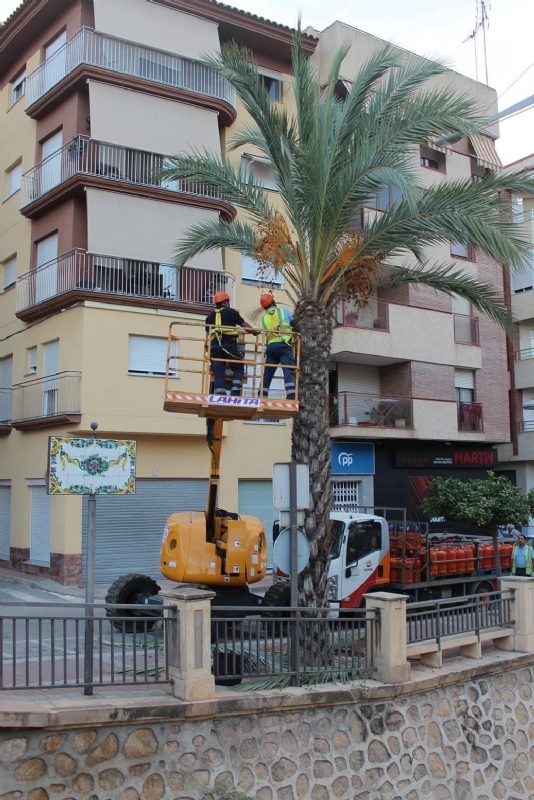 Adjudican el contrato para acometer el plan de choque de trabajos de podas y mejoras de jardinera en los parques y zonas verdes de Totana