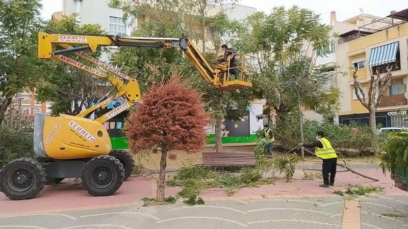 Adjudican el contrato para acometer el plan de choque de trabajos de podas y mejoras de jardinera en los parques y zonas verdes de Totana