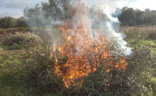 Medio Ambiente recuerda que se prohben las quemas agrcolas y slo se autorizan de forma excepcional por un riesgo fitosanitario comprobado