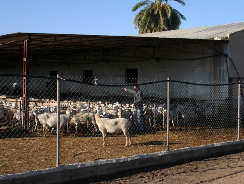 Aprueban un convenio con la Unin de Agricultores y Ganaderos del Bajo Guadalentn de Totana para impulsar la atencin al pblico en asuntos sobre agricultura y ganadera