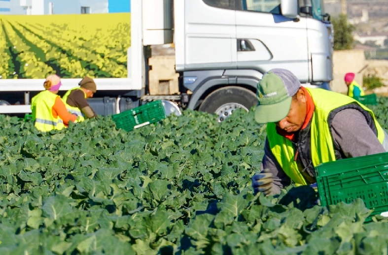 Aprueban un convenio con la Unin de Agricultores y Ganaderos del Bajo Guadalentn de Totana para impulsar la atencin al pblico en asuntos sobre agricultura y ganadera