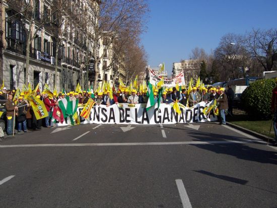 foto noticia