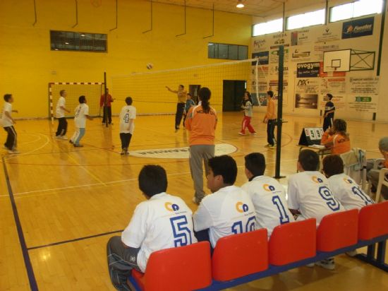 UN TOTAL DE SIETE EQUIPOS DE TOTANA PARTICIPAN EN LA FASE INTERMUNICIPAL DEL CAMPEONATO REGIONAL ESCOLAR POR CENTROS DE ENSEANZA, ORGANIZADO POR LA DIRECCION GENERAL DE DEPORTES DE LA REGION DE MURCIA