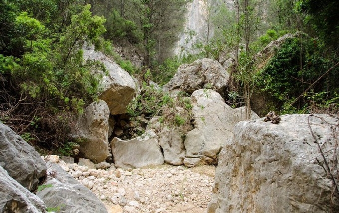 El Ayuntamiento apoya el proyecto de gestin silvcola no mecanizada para en entorno de la cabecera  del Barranco de la Hoz, en Sierra Espua