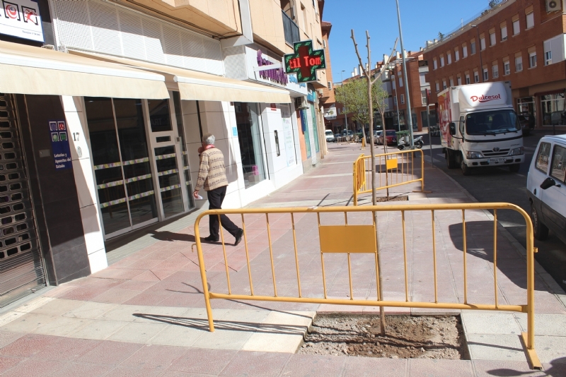 La Concejala de Obras y Servicios planta unas 40 moreras para sustituir otro arbolado seco o podrido en la urbanizacin El Parral