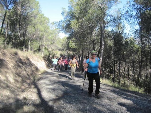 Cerca de una treintena de deportistas participan en la Ruta de Senderismo organizada por la Concejala de Deportes al paraje del Madroal (Cieza)