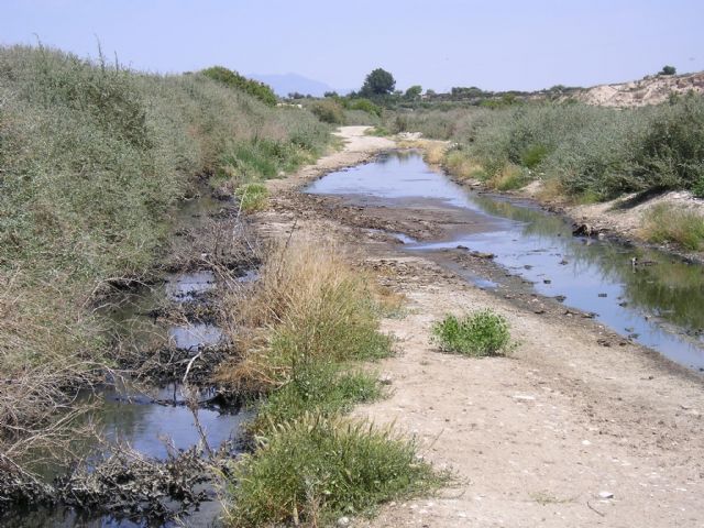 Se exigen medidas urgentes para prohibir el vertido temporal de aguas residuales urbanas o industriales en el ro Guadalentn a su paso por el municipio Totana