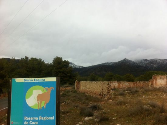 foto noticia