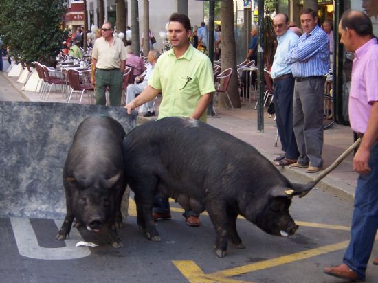 foto noticia