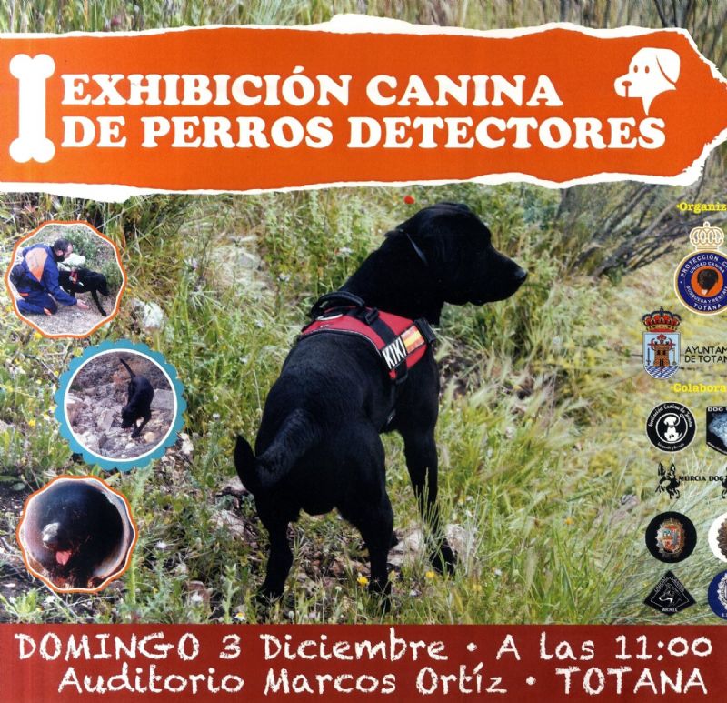 Vdeo. La I Exhibicin Canina de Perros Detectores se celebra este domingo en el Auditorio Marcos Ortiz, organizada por la Unidad Canina de la Agrupacin de Voluntarios de Proteccin Civil
