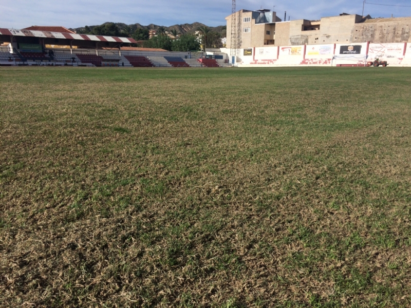 La Concejalía de Deportes realiza trabajos de resiembra en el estadio municipal "Juan Cayuela" para garantizar su mantenimiento, que no se podrá utilizar hasta mediados del próximo mes de enero