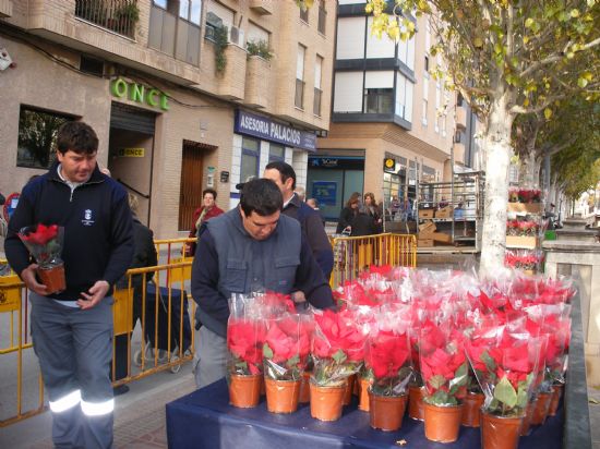 LA CONCEJAL�A DE PARQUES Y JARDINES REPARTE 1.000 MACETAS DE FLORES DE PASCUA EN EL MERCADILLO SEMANAL CON MOTIVO DE LA NAVIDAD