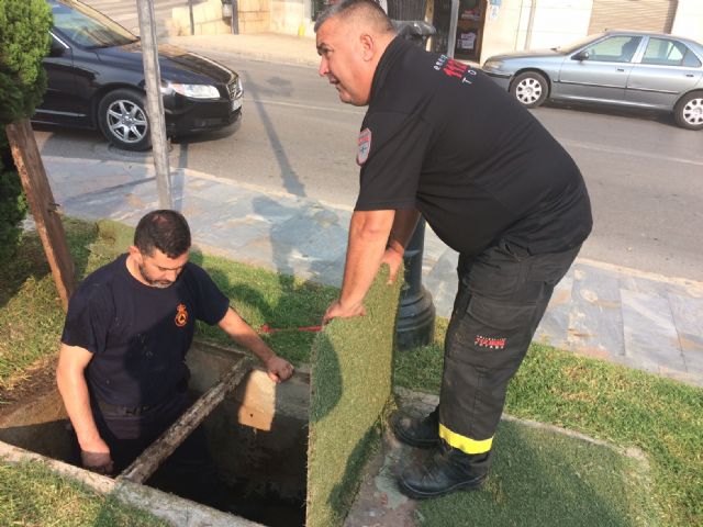 Voluntarios de Proteccin Civil realizan una revisin tcnica a los ms de 150 hidrantes distribuidos por el casco urbano y el polgono industrial El Saladar