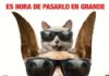 Foto Portada - Noticia