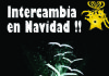 Foto Portada - Noticia