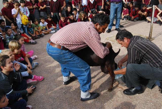 Fotoagrafía relacionada con la noticia, 