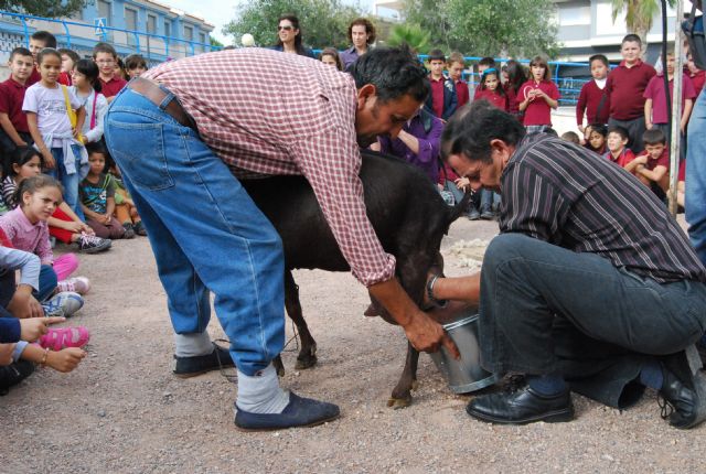 Fotoagrafía relacionada con la noticia, 