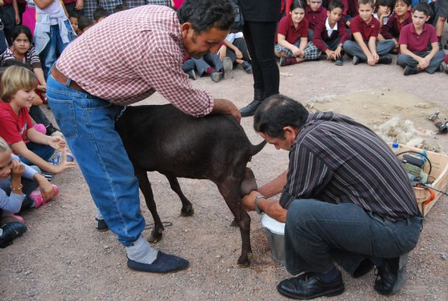 Fotoagrafía relacionada con la noticia, 