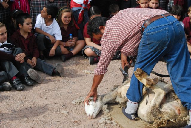 Fotoagrafía relacionada con la noticia, 