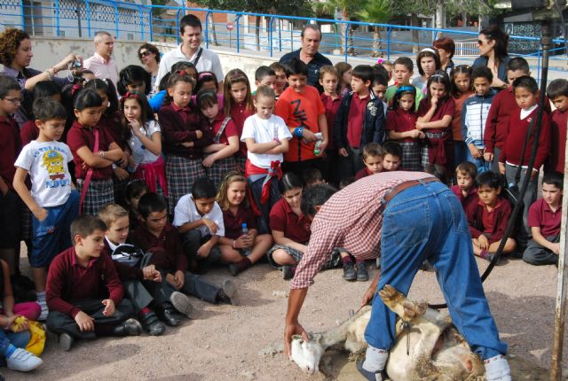 Fotoagrafía relacionada con la noticia, 