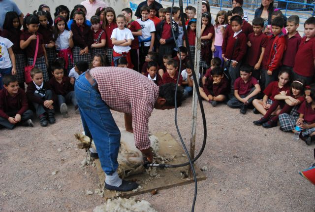 Fotoagrafía relacionada con la noticia, 