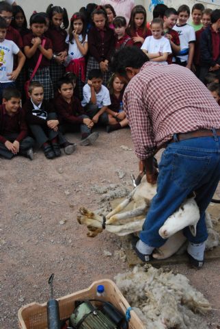 Fotoagrafía relacionada con la noticia, 