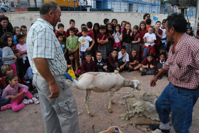 Fotoagrafía relacionada con la noticia, 