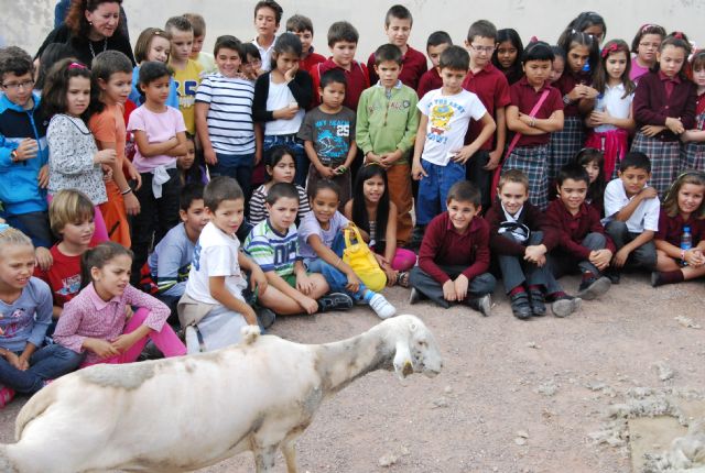 Fotoagrafía relacionada con la noticia, 