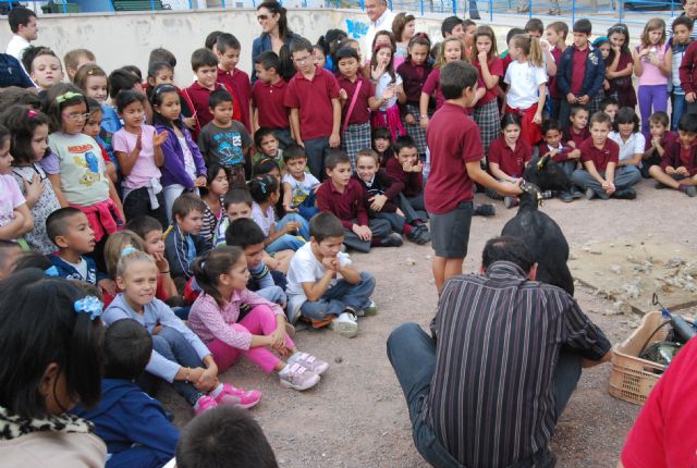 Fotoagrafía relacionada con la noticia, 