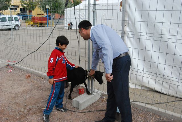 Fotoagrafía relacionada con la noticia, 