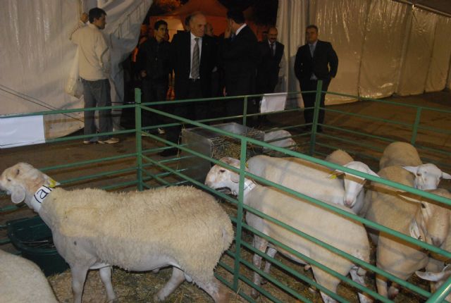 Fotoagrafía relacionada con la noticia, 