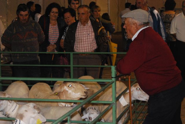 Fotoagrafía relacionada con la noticia, 