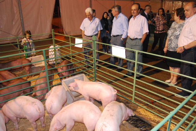 Fotoagrafía relacionada con la noticia, 