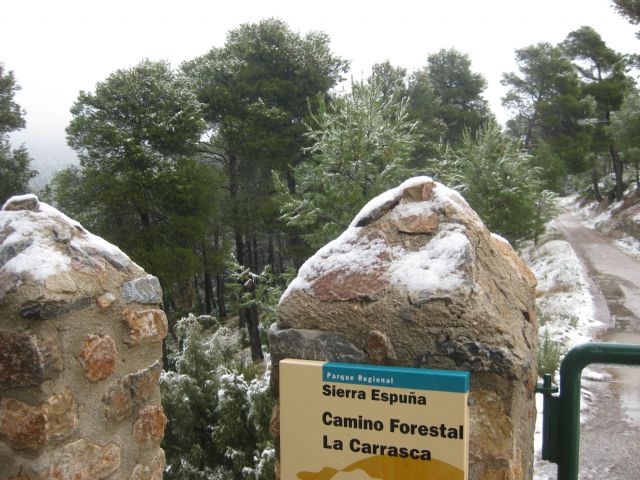 Fotoagrafía relacionada con la noticia, 