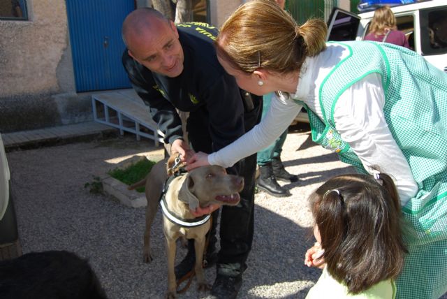 Fotoagrafía relacionada con la noticia, 