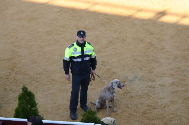Fotoagrafía relacionada con la noticia, 