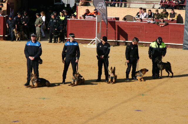 Fotoagrafía relacionada con la noticia, 