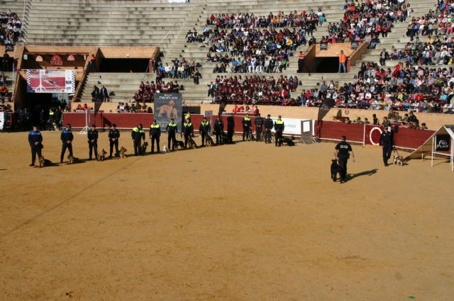 Fotoagrafía relacionada con la noticia, 