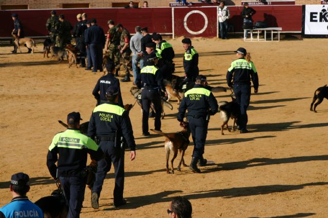 Fotoagrafía relacionada con la noticia, 