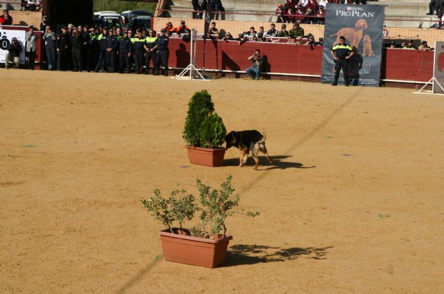 Fotoagrafía relacionada con la noticia, 
